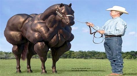 Buff horse | Largest horse breed, Big horses, Horse breeds