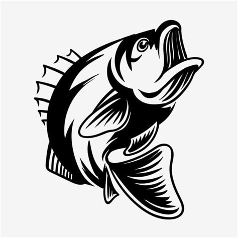 Bass Fishing Clipart PNG Images, Detailed Bass Fish Vector Illustration ...