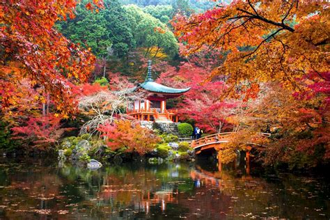 These Breathtaking Photos Of Kyoto Are Like Something Out Of A Dream