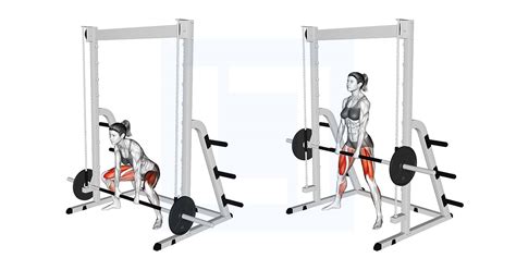 Smith Sumo Deadlift - Guide, Benefits, and Form