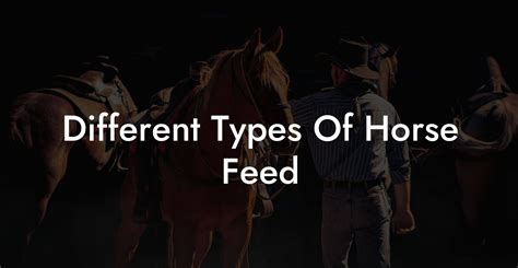 Different Types Of Horse Feed - How To Own a Horse