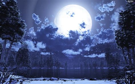 clouds, moon, lake, forest, winter - Beautiful views wallpapers: 2560x1600