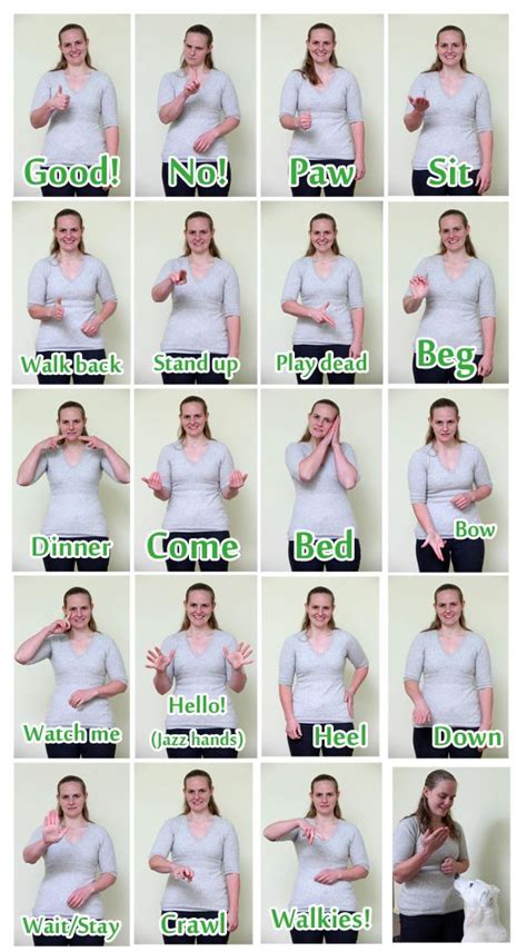 Sign language for deaf dogs. TIP: always teach hand signals with vocal ...