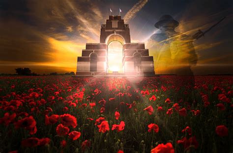 Remembrance day, veterans day, poppy field, poppies, remembrance sunday - free image from ...