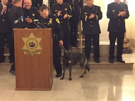 Swearing in for several members of the Albany County Sheriff's Office ...