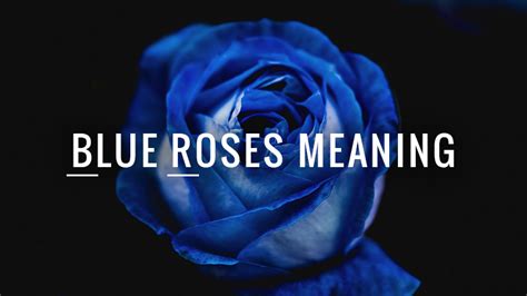 What is The Meaning of Blue Roses?