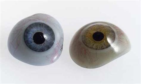 Ocular Prosthesis: What You Should Know | EYExan.com