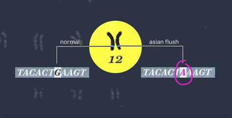 Asian Flush (Alcohol Flush Reaction): Symptoms, Causes & Treatments – Flyby