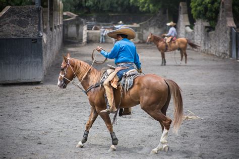 The Competitive Charreada – Oro Gold Stores