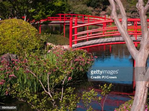 949 Japanese Garden Bridges Stock Photos, High-Res Pictures, and Images ...