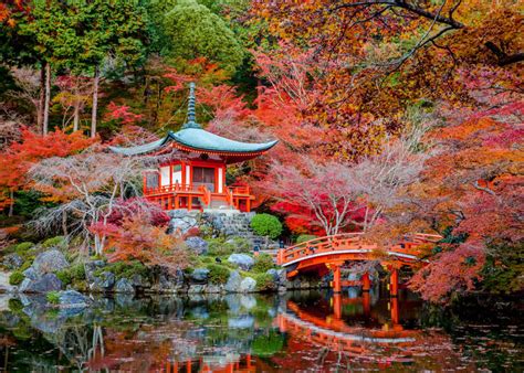 Brief Intro to Japanese Gardens | LIVE JAPAN travel guide