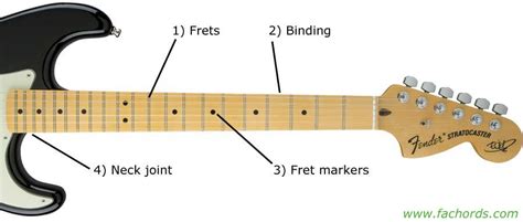 Guitar Parts Names: Know The Parts Of Electric Guitar