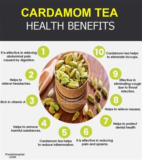 16 Incredible Health Benefits Of Cardamom Tea + Uses & How to Brew?