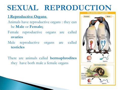 CLIL: Reproduction in Plants and Animals