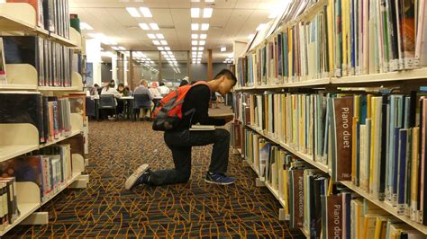 Free stock photo of college students, library, studying