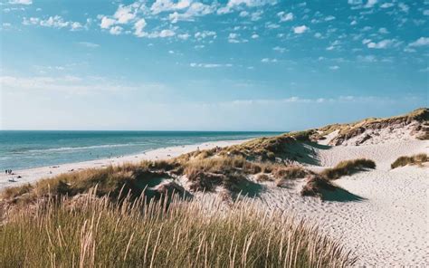 Monterey Bay: A Stunning National Marine Sanctuary | TB Outdoor Rentals