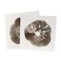 Magic Mushrooms | Psilocybe Cubensis Growkits | Mushroom spores