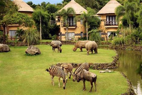 Beginilah Sejarah Panjang Pembangunan Taman Safari Indonesia