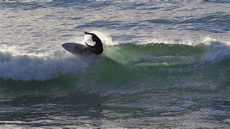 San Diego-Area Beaches Reopen Sunday as Tsunami Threat Passes - Times of San Diego