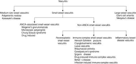 ANCA-Associated Small-Vessel Vasculitis | AAFP