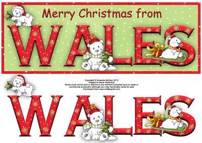 Merry Christmas from Wales Large Dl Word Card - CUP356269_56 | Craftsuprint