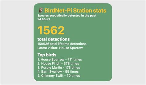 Create an iOS Scriptable widget to show backyard bird visitors