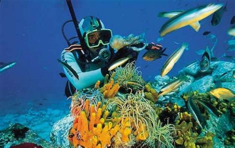 San Andres Island, Diving: video, popular tourist places, Satellite map ...