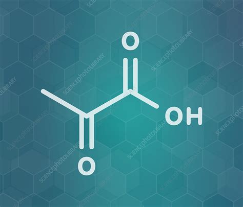 Pyruvic acid molecule, illustration - Stock Image - F027/9332 - Science ...