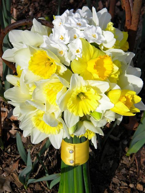 Wedding Flowers from Springwell: Daffodils and Springtime Weddings