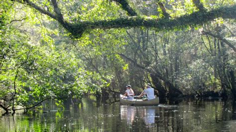 3,000 Acres Saved on the Waccamaw River! – NC Coastal Land Trust