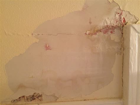 What should I use to repair plaster in a bathroom? - Home Improvement Stack Exchange