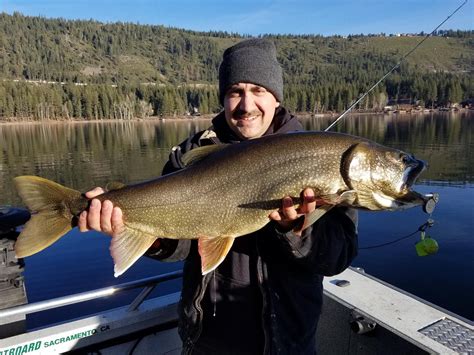 Donner Lake Fish Report - Truckee, CA (Nevada County)