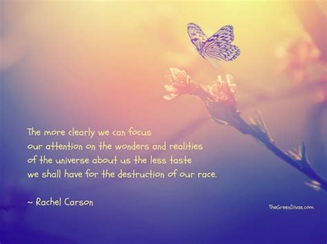 Top 20 Rachel Carson Quotes to Celebrate This Eco Heroine’s 107th ...