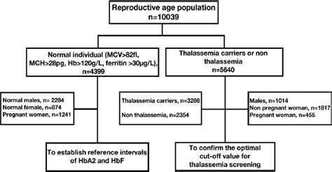 Establishment of pregnant-specific intervals for hemoglobin (Hb) A2, HbF and cut-off points for ...