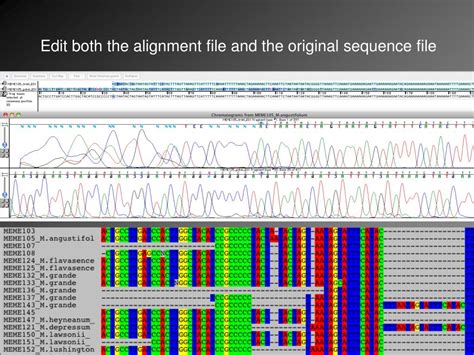 PPT - Plant DNA Barcoding: data workflow PowerPoint Presentation, free download - ID:2020101