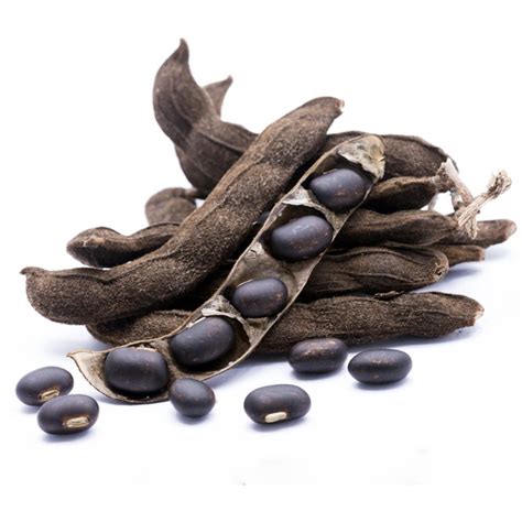 Velvet Bean Seeds (Mucuna pruriens) - Price €2.85