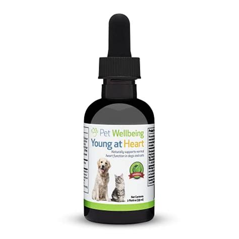 Top 10 best selling list for dog supplements for heart disease – Best Family Pets