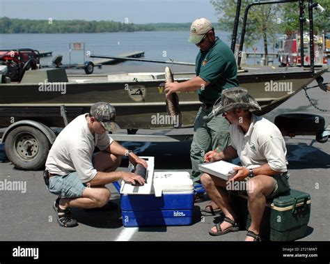 Examples of invasive species hi-res stock photography and images - Alamy