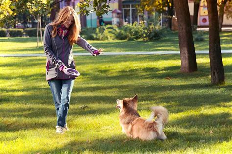 Unleashing the Magic: The Importance Of A Puppy Trainer