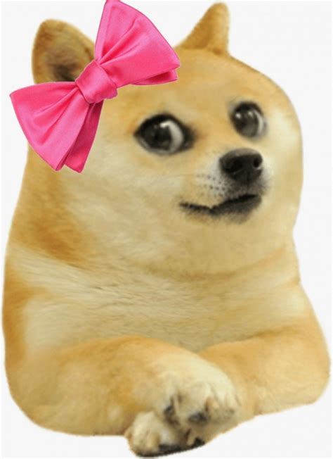 Doge Meme Template Collection