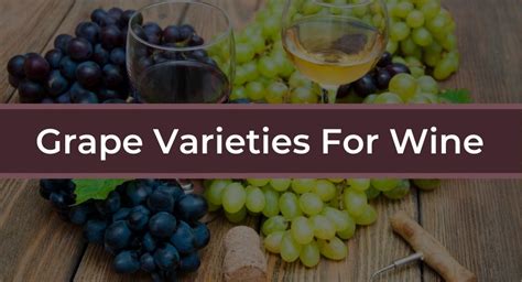 24 Grape Varieties - Know The Grapes That Make Up Your Favorite Wine - DrinkStack