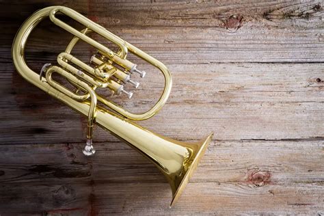 Best of Both Worlds: The Baritone Horn Buying Guide ⋆ Hear the Music Play