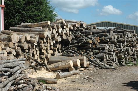 Seasoned Firewood Logs Somerset | Your Local Logs