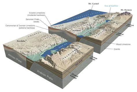 [DIAGRAM] Ocean Rift Diagram - MYDIAGRAM.ONLINE