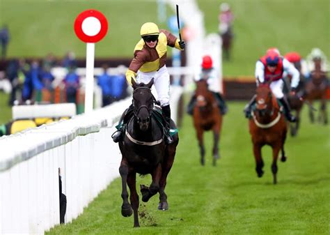 Galopin des Champs Odds: Can the Gold Cup Favourite Prevail at Cheltenham today? - Pundit Feed