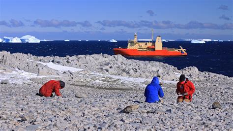 Present Antarctic Deglaciation May Be Unprecedented In Last 5,000 Years ...