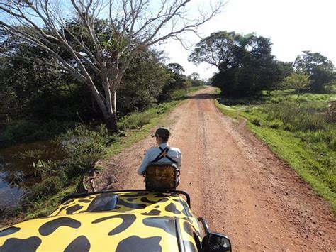 CAIMAN, PANTANAL - Updated 2024 Lodge Reviews (Baia, Brazil)