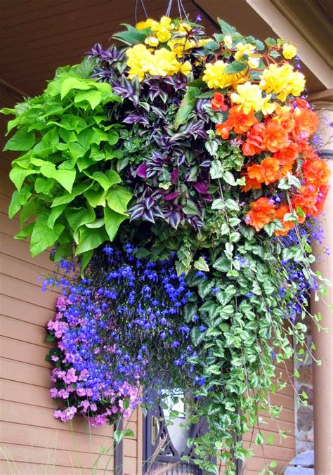 Pro Tips For Amazing Hanging Flower Baskets - Page 2 of 2