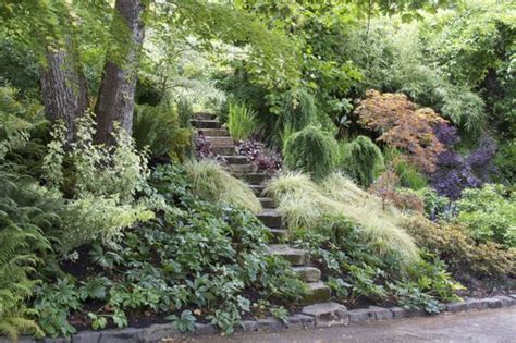 How to create a beautiful hillside garden | Hillside landscaping ...