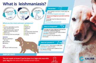 The most common symptoms of Leishmaniasis | Calier